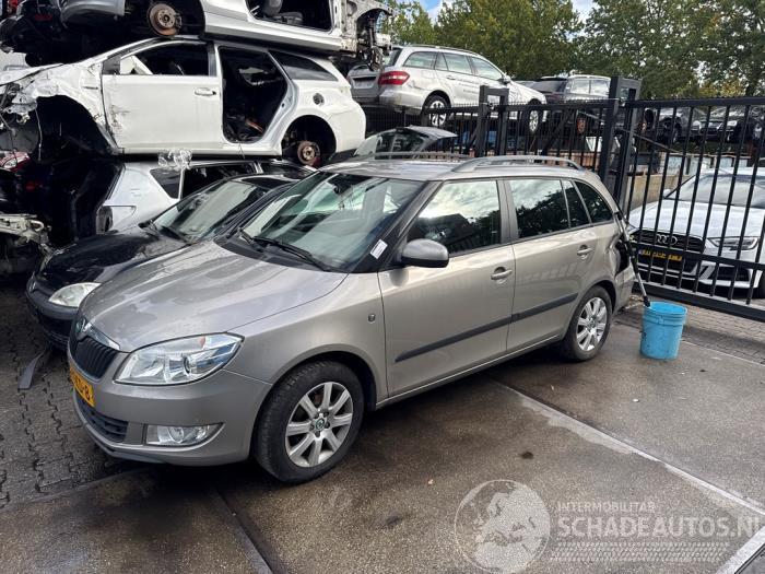 Skoda Fabia Fabia II Combi, Combi 5-drs, 2007 / 2014 1.2 TSI