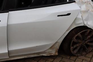 Tesla Model 3 Model 3, Sedan, 2017 Long Range, Performance AWD picture 13