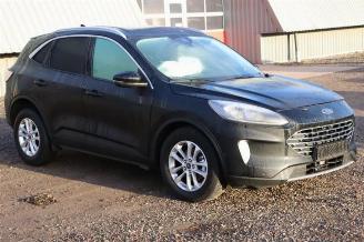 Ford Kuga Kuga III (DFK), SUV, 2019 2.5 PHEV 16V picture 7
