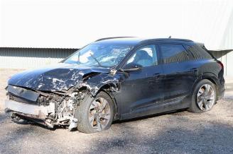 Audi E-tron e-tron (GEN), SUV, 2018 / 2023 55 quattro picture 7