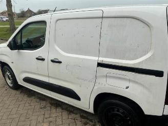 Opel Combo Combo Cargo, Van, 2018 1.6 CDTI 100 picture 14