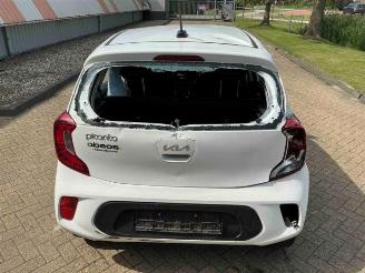 Kia Picanto Picanto (JA), Hatchback, 2017 1.0 DPi 12V picture 4