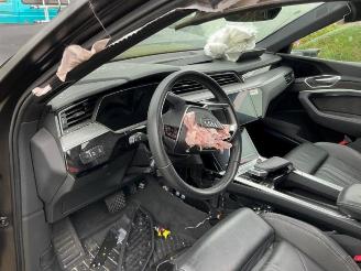 Audi E-tron e-tron (GEN), SUV, 2018 / 2023 55 quattro picture 10