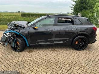 Audi E-tron e-tron (GEN), SUV, 2018 / 2023 55 quattro picture 6