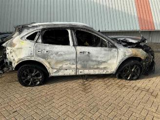 Ford Kuga Kuga III (DFK), SUV, 2019 2.5 PHEV 16V picture 8