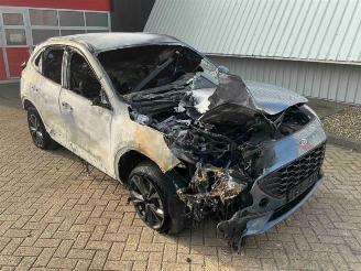 Vrakbiler auto Ford Kuga Kuga III (DFK), SUV, 2019 2.5 PHEV 16V 2023/8
