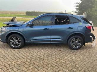 Ford Kuga Kuga III (DFK), SUV, 2019 2.5 PHEV 16V picture 4