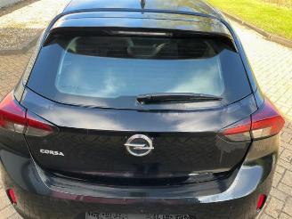 Opel Corsa Corsa F (UB/UH/UP), Hatchback 5-drs, 2019 1.5 CDTI 100 picture 19