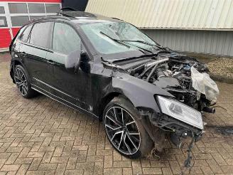 Audi SQ5 SQ5 (8RB), SUV, 2012 / 2017 3.0 TDI V6 24V picture 1