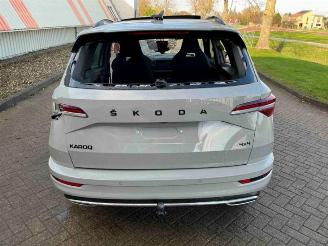 Skoda Karoq Karoq, SUV, 2017 2.0 TSI 4x4 picture 4