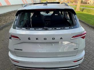 Skoda Karoq Karoq, SUV, 2017 2.0 TSI 4x4 picture 35