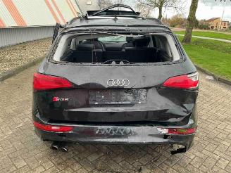 Audi SQ5 SQ5 (8RB), SUV, 2012 / 2017 3.0 TDI V6 24V picture 4