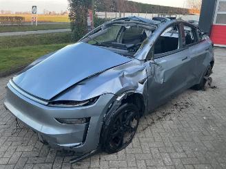 Tesla Model Y Model Y, SUV, 2025 RWD 58 kWh, Long Range RWD 75 kWh picture 7