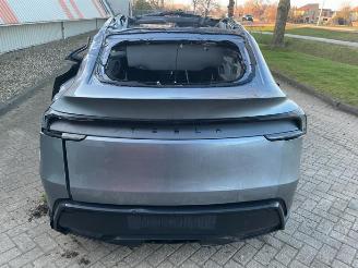 Tesla Model Y Model Y, SUV, 2025 RWD 58 kWh, Long Range RWD 75 kWh picture 4