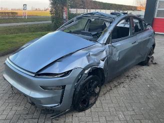 Tesla Model Y Model Y, SUV, 2025 RWD 58 kWh, Long Range RWD 75 kWh picture 7