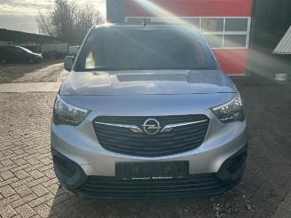 Opel Combo Combo Cargo, Van, 2018 1.6 CDTI 75 picture 2