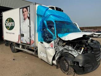 Sloopauto Renault Master Master III (EV/HV/UV/VA/VB/VD/VF/VG/VJ), Chassis-Cabine, 2010 2.3 dCi 165 16V RWD 2024/11