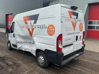 Fiat Ducato Ducato (250), Bus, 2006 2.3 D 130 Multijet Minibus Extralongo picture 5