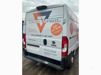 Fiat Ducato Ducato (250), Bus, 2006 2.3 D 130 Multijet Minibus Extralongo picture 23