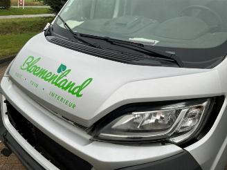 Fiat Ducato Ducato (250), Bus, 2006 2.3 D 130 Multijet Minibus Extralongo picture 11