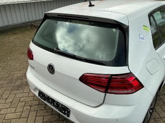 Volkswagen e-Golf Golf VII (AUA), Hatchback, 2012 / 2021 e-Golf picture 29