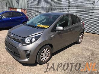 Sloopauto Kia Picanto Picanto (JA), Hatchback, 2017 1.2 CVVT 16V 2017/7