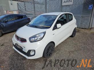 Vrakbiler auto Kia Picanto Picanto (TA), Hatchback, 2011 / 2017 1.0 12V 2013/9