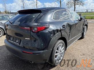 Mazda CX-30  picture 5