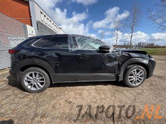 Mazda CX-30  picture 6