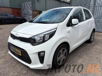 Sloopauto Kia Picanto Picanto (JA), Hatchback, 2017 1.0 DPi 12V 2023/4