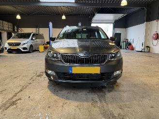 Skoda Fabia 1.4 TDI Ambition NL NAP! picture 8