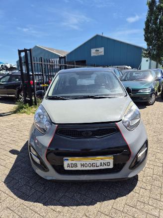 Salvage car Kia Picanto (TA) Hatchback 1.0 12V (G3LA) [51kW] 5-BAK 2013/1