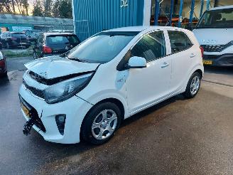 skadebil auto Kia Picanto Picanto (JA) Hatchback 1.0 12V (G3LD) [49kW] 2023/6