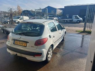 Peugeot 206+ 206+ (2L/M) Hatchback 1.1 XR,XS (TU1JP(HFV) picture 4