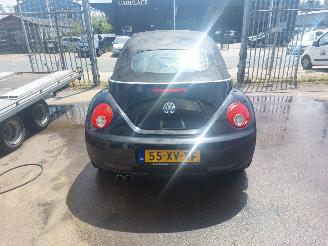 Volkswagen New-beetle New Beetle (1Y7) Cabrio 1.6 picture 5