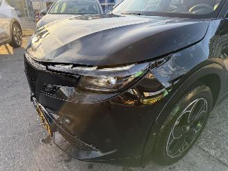 Alfa Romeo Junior Elettrica 54 kWh 115KW Clima Navi Camera DNA NAP picture 23