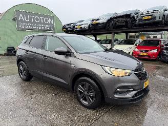 škoda osobní automobily Opel Grandland X 1.2 Turbo 96KW Clima Navi Led 120 Jaar Edition NAP 2019/7
