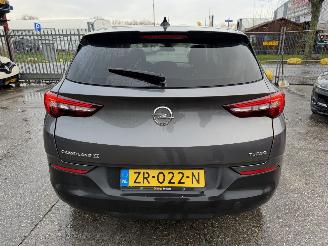 Opel Grandland X 1.2 Turbo 96KW Clima Navi Led 120 Jaar Edition NAP picture 3