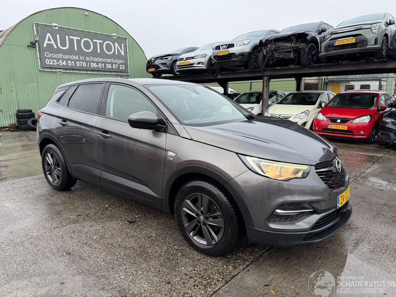 Opel Grandland X 1.2 Turbo 96KW Clima Navi Led 120 Jaar Edition NAP