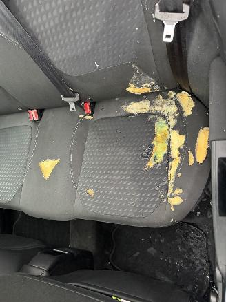 Ford Fiesta 1.0 Ecoboost 74KW Clima Navi Camera Led Titanium NAP picture 15