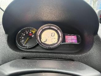 Renault Mégane Coupe 1.4 TCE 96KW Bose Pano Clima Navi NAP picture 12