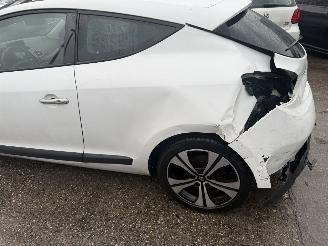 Renault Mégane Coupe 1.4 TCE 96KW Bose Pano Clima Navi NAP picture 15