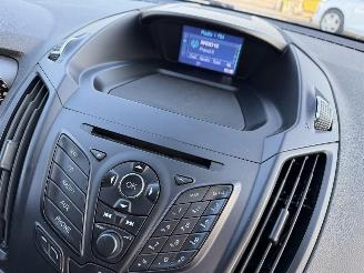 Ford Kuga 2.0 TDCI 132KW 4WD Clima Navi Titanium picture 9