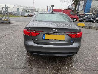 Jaguar XF 2.0D 120KW Autom. Clima Navi Leer Xenon Portfolio NAP picture 3