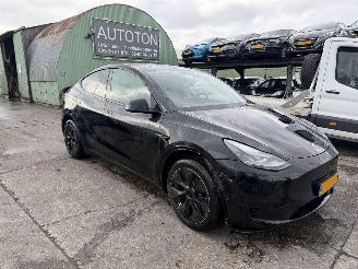 Damaged car Tesla Model Y 58 kWh 175KW RWD Pano Clima Navi NAP 2024/9