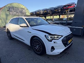 Schadeauto Audi E-tron 55 Quattro 95 kWh 408PK Advanced Pano Clima Navi Led Camera NAP 2019/12