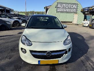 Opel Adam 1.4 64KW Glam Clima Pano picture 13