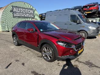 Unfallwagen Mazda CX-30 2.0 e-SkyActiv-X Autom. 137KW M Hybrid Luxury Clima Navi Led NAP 2022/1