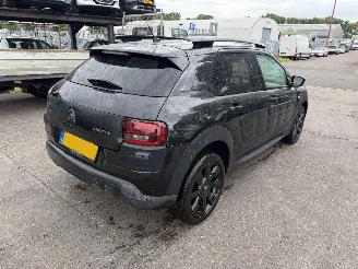 Citroën C4 cactus 1.2 e-VTI Autom. 60KW Pano Clima Navi Camera Led Business NAP picture 3