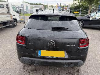 Citroën C4 cactus 1.2 e-VTI Autom. 60KW Pano Clima Navi Camera Led Business NAP picture 4